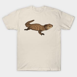 Armadillo girdled lizard cartoon illustration T-Shirt